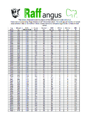 Raff Angus Bull Scanning Data