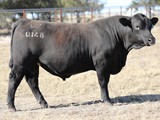 LOT 66 - QRF23U148